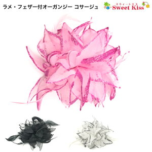 EtFU[tI[KW[ RT[W (1R) |   sN H wANbv  fB[X l 񎟉   tH[}  w l Ǝ Ӊ   