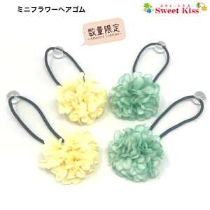 y wAS LbY z~jt[ wAS (2R) | CG[ O[   a   wAANZT[ wAANZ wA LbY q KIDS ǂ ̎q  킢