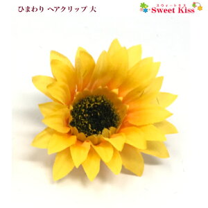 y wANbv LbY zЂ܂ wANbv  (1R) | CG[  q}   Ղ   ԉΑ ~x čՂ [݉ wAANZT[   fB[