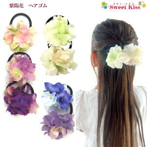 y  zz  AWTC wAS (1R) |   sN u[ p[v  AWTC   wAANZ VNt[ fB[X K[Y LbY a Ղ ԉΑ