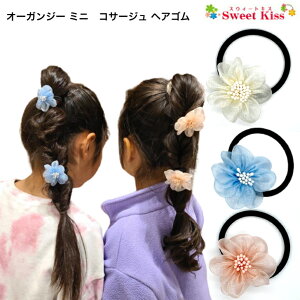 y LbY wAS zI[KW[ ~j RT[W wAS .5cm (1R) |  t[ tH[} l sN u[  zCg  fB[X LbY ̎q q 킢  