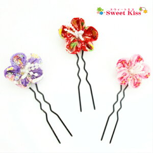 y   za ߂ Ԍ^ 񂴂 (1R)  | wAANZT[ wAs fB[X l K[X LbY l Ǝ с@    Ղ {h  ܂