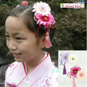 gЂ ӂt K[x wANbv (1R) | fB[X l LbY wAANZT[   p[v sN w Ǝ l   ܎O 753  Si  {