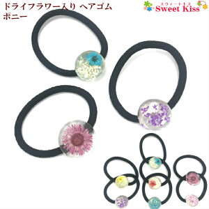 hCt[  wAS |j[ (1R) |   wAANZT[ fB[X l K[Y LbY KIDS q  킢  o fC[ JWA LHGW Si 