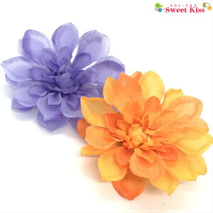 _A ~h wANbv Eu[` (1R) |y܎O  ΁zyl z  Ղ  wAANZT[ q l LbY    p[v  IW