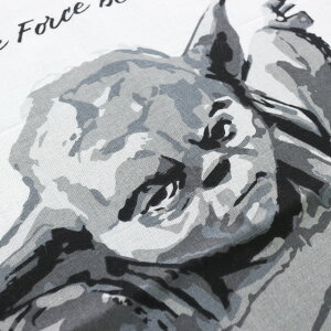 STARWARSĂʂ _[XxC_[ [_@N[CgCN@N[_[NCN@{@v[g@1000~@ۂ