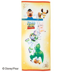 Disney@PIXAR@sNT[ tFCX^I@S[fp[v@S[fIW@@gCXg[[@v[g