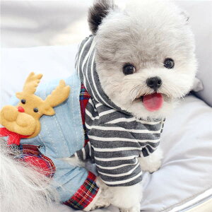  g  hbOEGA ybg ^ ^  ybgpi 炩N p pi ~  킢 񂿂 h ^Ngbv {[_[ hbg 