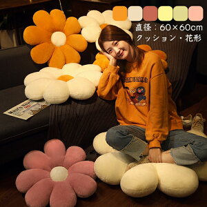 Ԍ`zc NbV  ی`  EhNbV ~` a60cm tANbV Q zc w  Rbg _ ֎q Iu ӂӂ _炩 e  