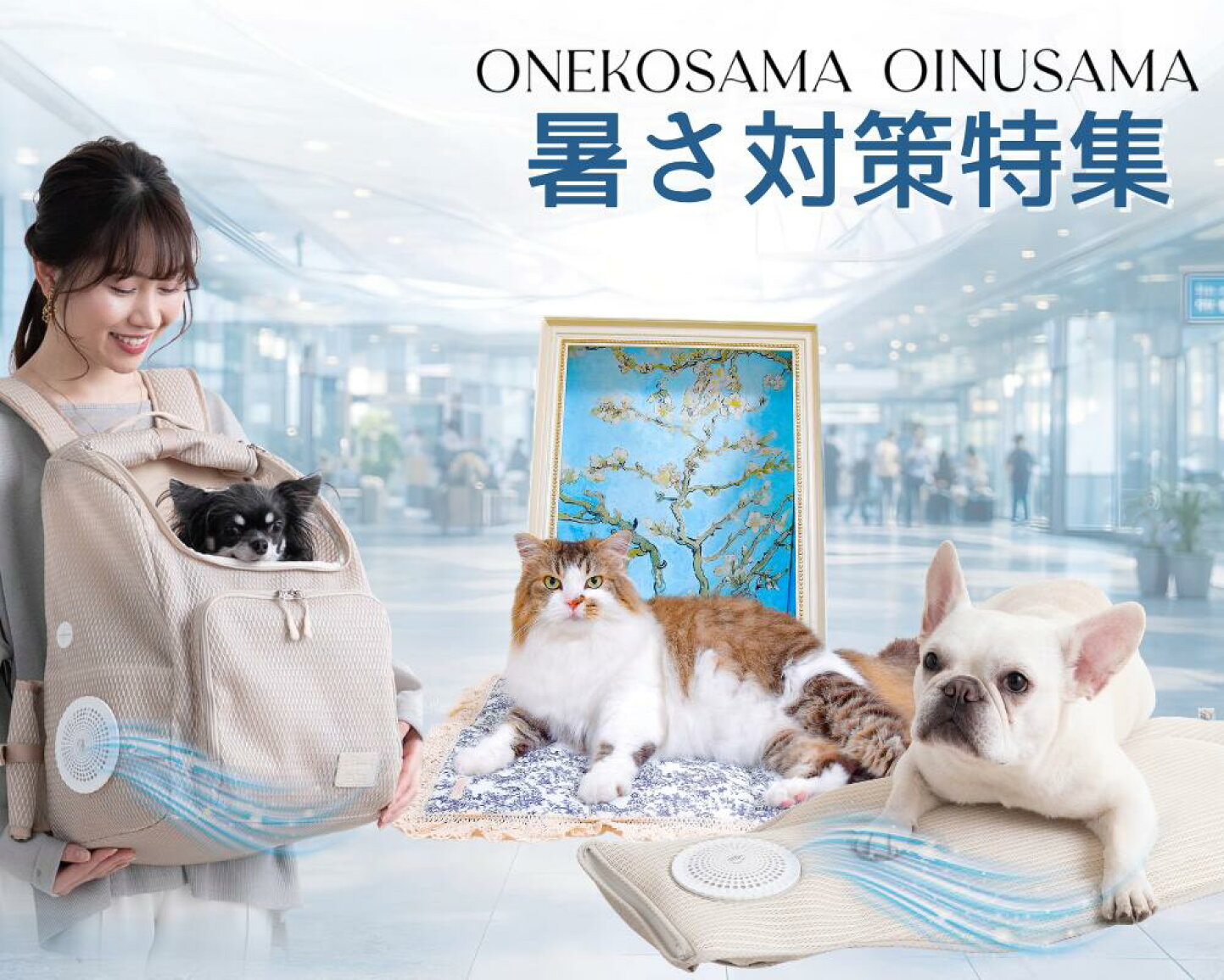 楽天市場 | ONEKOSAMA OINUSAMA - 我が子と、快適な夏に。夏支度フェア