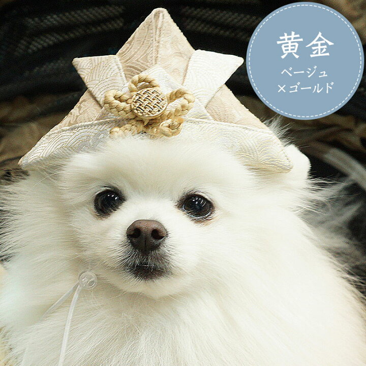 楽天市場】＼10%OFFクーポン！／ ペット用兜 OINUSAMA ONEKOSAMA 犬 