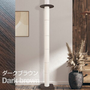 _ő5~OFFN[|^ ONEKOSAMA { WALK EH[N|TREE c[ ؓo^[ ؐ Lbg^[ ؂̂ڂ ɑ|[  킢 X ˂ u ȃXy[X Rp