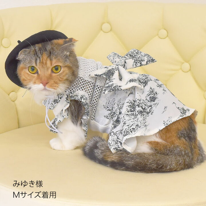 楽天市場】＼最大6,039円OFF／ 【ブランド公式】OINUSAMA ONEKOSAMA  
