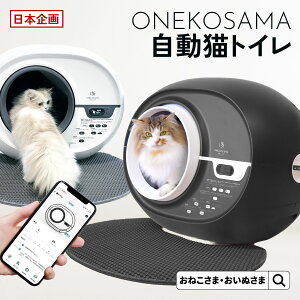 _j^[i20OFF^LgC ONEKOSAMA ˂ L S h[^ h[gC ^  ̏d  {ybgpiHƉ F菤i SZT[ Av  ې 