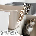本日限定＼最大P16倍！／ ONEKOSAMA おねこさま 猫 トイレ 多頭飼 おしゃれ 可愛い スタイリッシュ インテリア エレガント ねこ ネコ ペット 抗菌 頑丈 丈夫 大型サイズ 大型猫 飛び散り 飛散ガード 深め 高め BEAUTY BEAUTY PLUS SQUARE