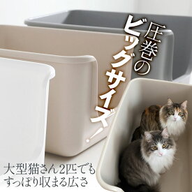 本日終了＼最大P14倍／ ONEKOSAMA おねこさま 猫 トイレ 多頭飼 おしゃれ 可愛い スタイリッシュ インテリア エレガント ねこ ネコ ペット 抗菌 頑丈 丈夫 大型サイズ 大型猫 飛び散り 飛散ガード 深め 高め BEAUTY BEAUTY PLUS SQUARE