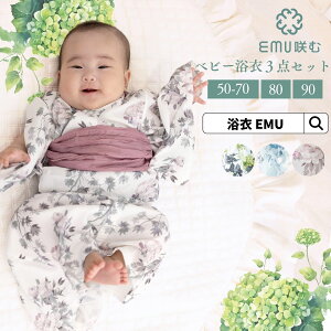 _2~OFFN[|zz^ xr[ 3_Zbg EMU  Zbg xr[ Ԃ ߃Zbg 䂩    ԕ ̎q a a i VbN l  Ղ ԉΑ Cxg