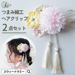 _ő1500~N[|^܂ݍ׍H я 2_Zbg wAANZT[ a ^bZt Us wAs 2_Zbg  fB[X xr[ ANZT[ 킢 oYj ԃ`[