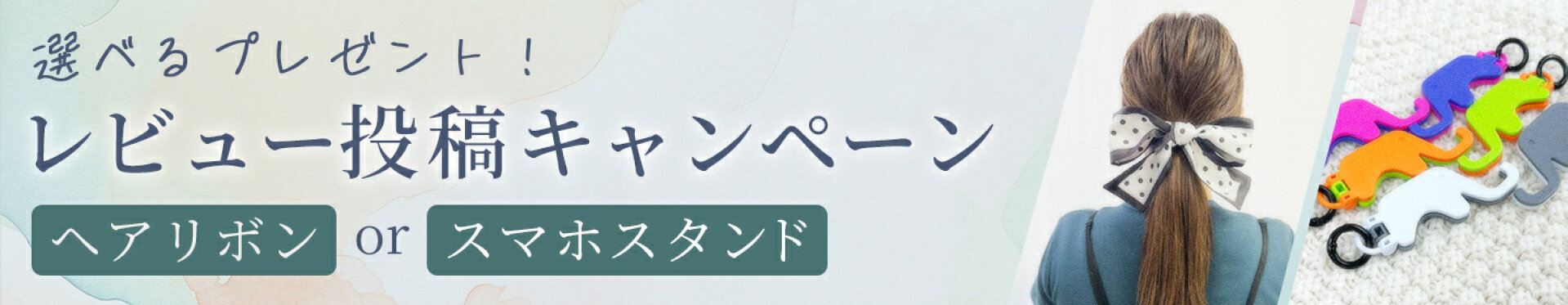 レビュープレゼント