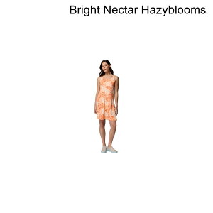 (���) �R�����r�A ���f�B�[�X �t���[�U�[ 3 �h���X - �E�B�����Y Columbia women Freezer III Dress - Women's Bright Nectar Hazyblooms