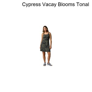 (���) �R�����r�A ���f�B�[�X �t���[�U�[ 3 �h���X - �E�B�����Y Columbia women Freezer III Dress - Women's Cypress Vacay Blooms Tonal