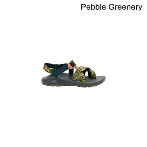 (���) �`���R ���f�B�[�X Z/�N���E�h 2 �T���_�� - �E�B�����Y Chaco women Z/Cloud 2 Sandal - Women's Pebble Greenery