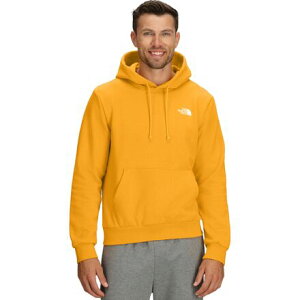 (���) �m�[�X�t�F�C�X �����Y �G�{�����[�V���� �{�b�N�X NSE �u�[�f�B - �����Y The North Face men Evolution Box NSE Hoodie - Men's Summit Gold