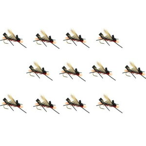 (���) �A���v�J ANT 12-�p�b�N Umpqua Amy's Ant 12-Pack Red