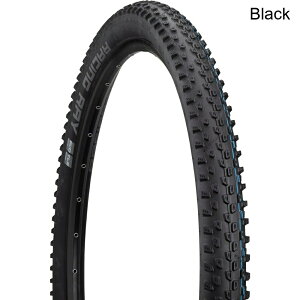 (���) �V�������x ���[�V���O���C�X�[�p�[�X�O���E���h�^�C�� schwalbe Racing Ray Super Ground Tire