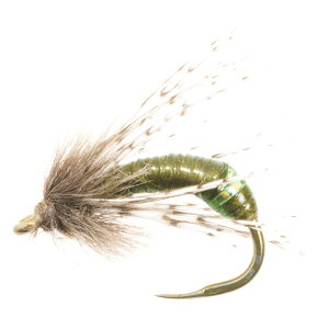(���) �A���v�J �o�[�� �O���t�B�b�N �J�f�B�X �j���t �t���C - �_�Y�� UMPQUA Barr Graphic Caddis Nymph Fly - Dozen Olive