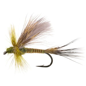 (���) �����^�i�t���C�J���p�j�[ �n�b�`�o�b�N �h���C �t���C - �_�Y�� Montana Fly Company Jake's Hatchback Dry Fly - Dozen Pale Green Drake
