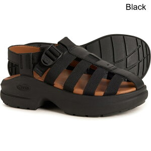 (���) �`���R ���f�B�[�X �`���R �t�B�b�V���[�}�� �T���_�� - ���U�[ Chaco women CushForm Fisherman Sandals - Leather (For Women) Black
