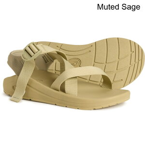 (���) �`���R �����Y �`���R �X�|�[�c �T���_�� Chaco men CushZ Sport Sandals (For Men) Muted Sage