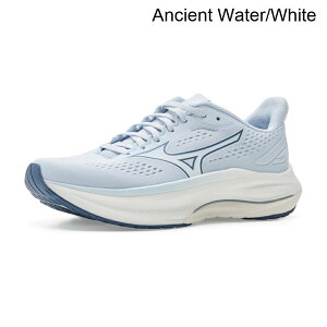 (���) �~�Y�m �E�F�[�u�C���X�p�C�A22 mizuno Wave Inspire 22