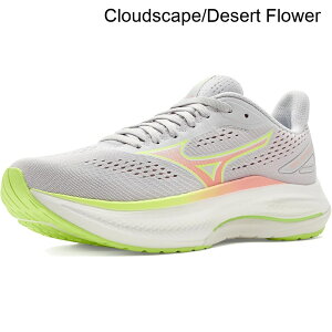 (���) �~�Y�m �E�F�[�u�C���X�p�C�A22 mizuno Wave Inspire 22