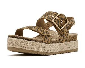 (���) �G�C�g���b�N�X ���f�B�[�X ���@�j�A Aetrex women Vania Leopard
