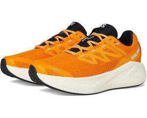 (���) �T������ �����Y �G�A�� �O���C�h 3 Salomon men Aero Glide 3 Turmeric/White/Black