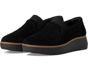 (���) �N���[�N�X ���f�B�[�X �X�J�C Clarks women Zylah Sky Black Suede