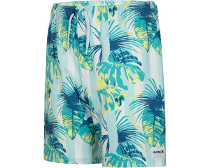(���) �n�[���[ �L�b�Y �J�o�i �X�g���C�v �v�� �I�� �X�C�� �g�����N (���g�� �L�b�h) Hurley kids Cabana Stripe Pull On Swim Trunk (Little Kid) Mint Candy