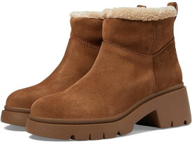 (取寄) スティーブマデン レディース ハッチャー Steve Madden women Steve Madden Hatcher Chesnut Suede