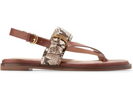 (取寄) コールハーン レディース アニカ ラックス バックル サンダル Cole Haan women Cole Haan Anica Lux Buckle Sandals Sandollar Soho Snake Print Leather