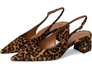 (���) �X�e�B�[�u�}�f�� ���f�B�[�X ���r�� Steve Madden women Robyn Leopard