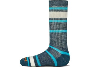 (���) �X�}�[�g�E�[�� �L�b�Y �L�b�Y �n�C�N ���C�g �N�b�V���� �X�g���C�v�h �N���[ �\�b�N�X (�g�h���[/���g�� �L�b�h/�r�b�O �L�b�h) Smartwool Kids kids Hike Light Cushion Striped Crew Socks (Toddler/Littl