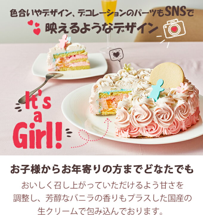誕生日ケーキ 22 ネコ お菓子 フルーツ イラスト ケーキ 6 8名 6号 バースデー ギフト ショコラ 洋菓子 バースデーケーキ
