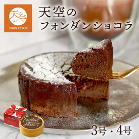 【 お中元 】天空のフォンダンショコラ 3号 4号 送料無料 お取り寄せ 誕生日 内祝い ギフト ヒルナンデス スイーツ 2025 チョコレートケーキ 自分へのご褒美