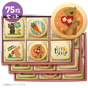 ] ސE َq  |bvȃbZ[WNbL[15~75Zbg  Mtg