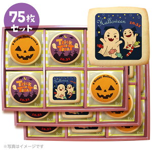 nEB َq bZ[WNbL[15~75Zbg  v` Mtg