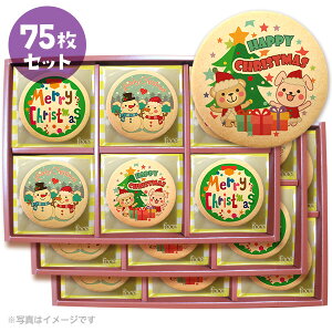 NX}X p[eB XmasI bZ[W NbL[ 15~75 Zbg  Mtg L َq lC j mَq ʔ 蕨  