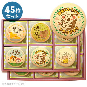 アニマル ビスケットの通販 価格比較 価格 Com