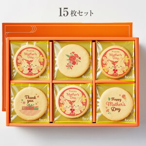 NbL[fUCReXg܏i ̓ vgNbL[ 15~30Zbg